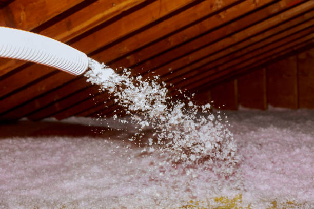 Best Residential Insulation in Mulberry, AR