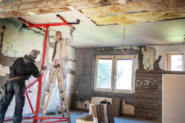 Best Commercial Insulation in Mulberry, AR