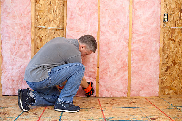 Best Types of Insulation in Mulberry, AR